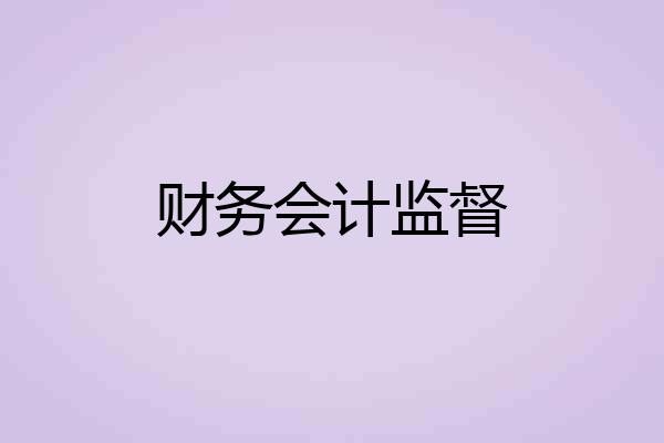 财务会计监督