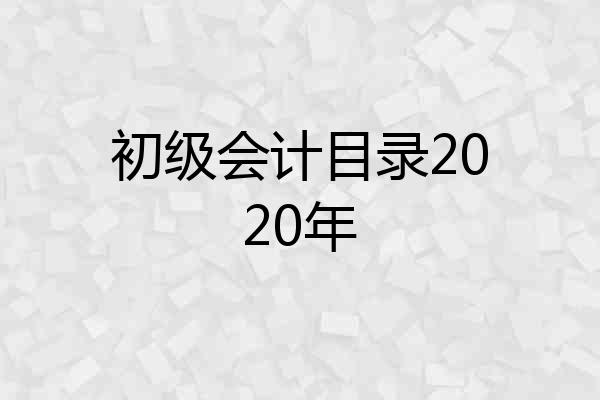 初级会计目录2020年