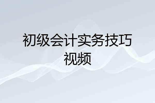 初级会计实务技巧视频