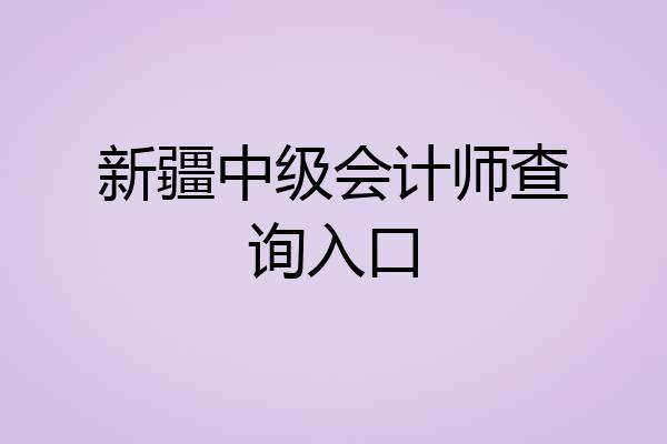 新疆中级会计师查询入口