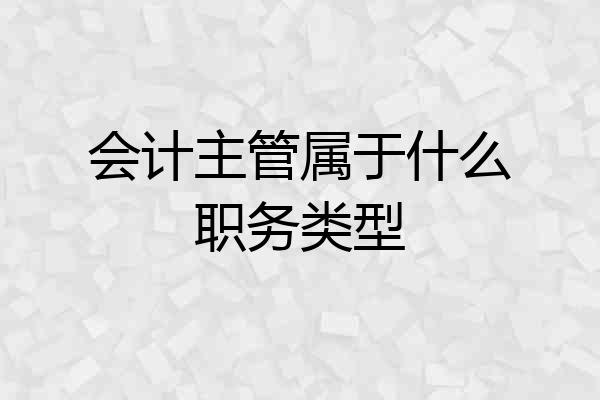 会计主管属于什么职务类型