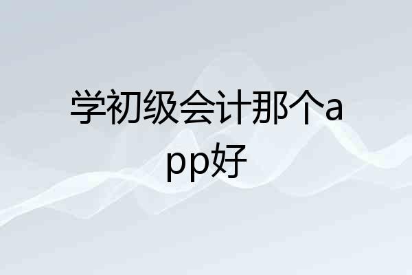 学初级会计那个app好