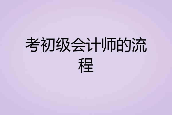 考初级会计师的流程