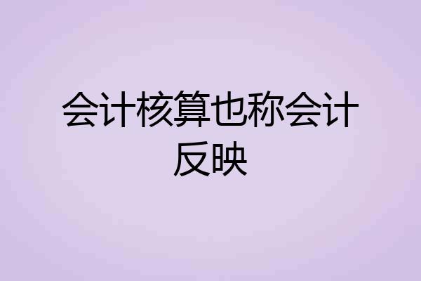会计核算也称会计反映