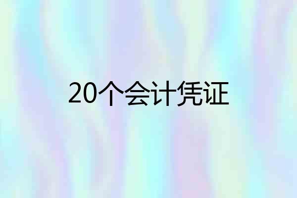 20个会计凭证