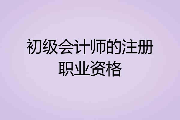 初级会计师的注册职业资格