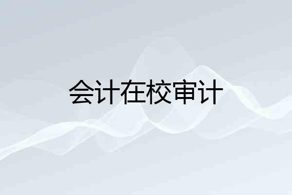 会计在校审计