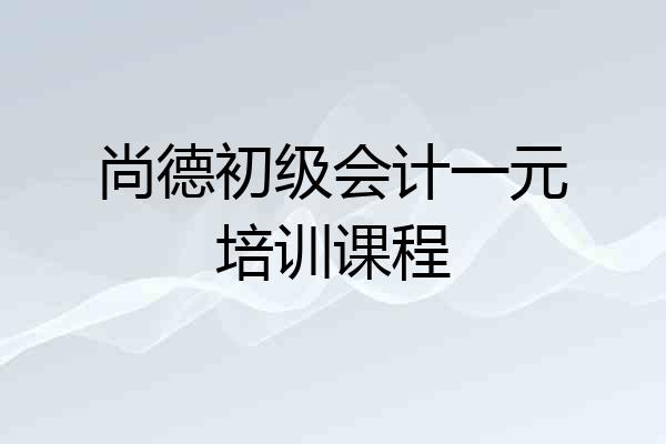 尚德初级会计一元培训课程