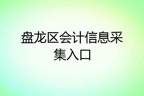 盘龙区会计信息采集入口