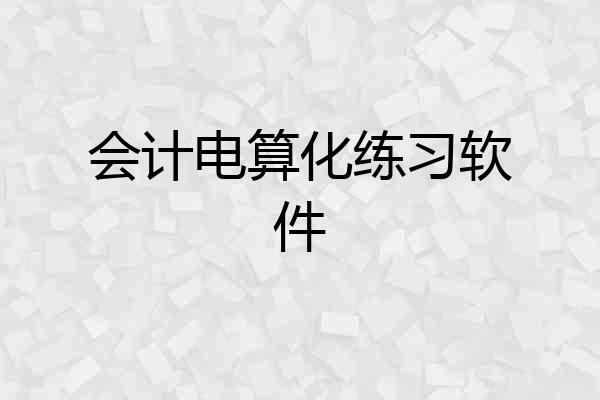 会计电算化练习软件