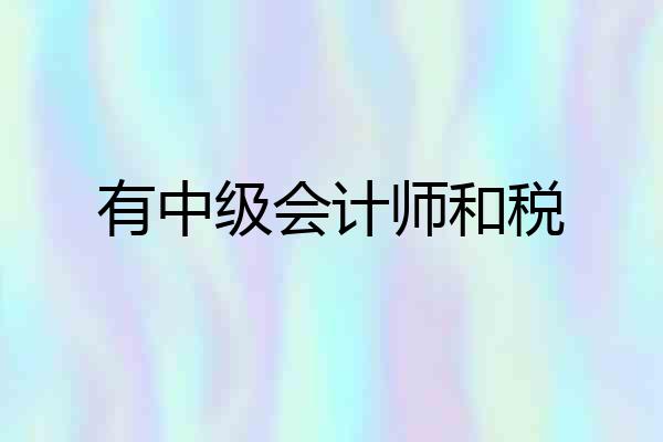 有中级会计师和税
