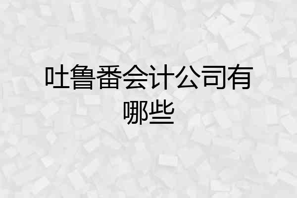 吐鲁番会计公司有哪些