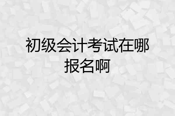 初级会计考试在哪报名啊