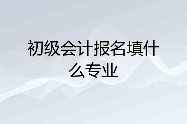 初级会计报名填什么专业