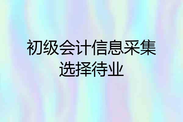 初级会计信息采集选择待业