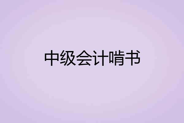 中级会计啃书