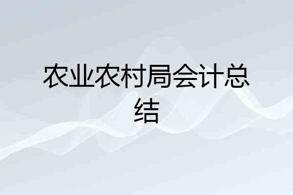农业农村局会计总结
