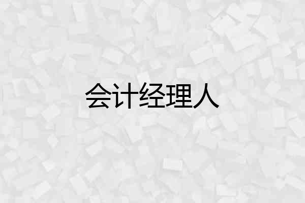 会计经理人