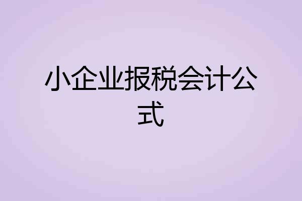小企业报税会计公式