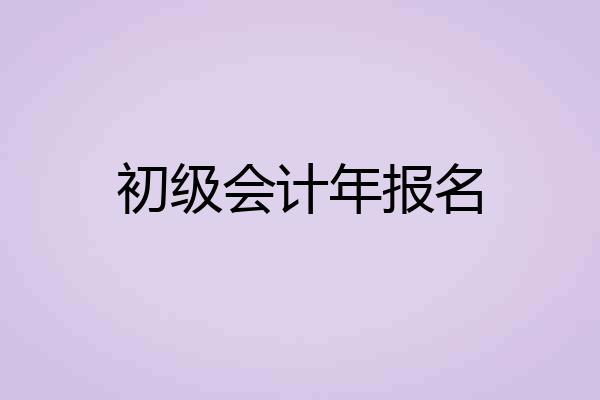 初级会计年报名