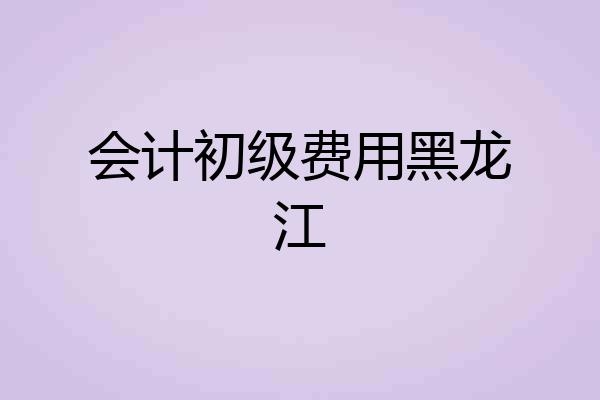 会计初级费用黑龙江