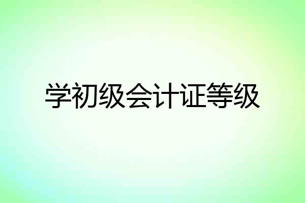学初级会计证等级
