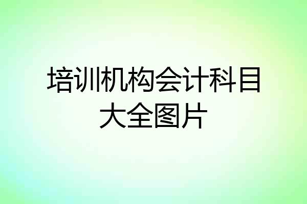 培训机构会计科目大全图片