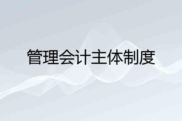 管理会计主体制度