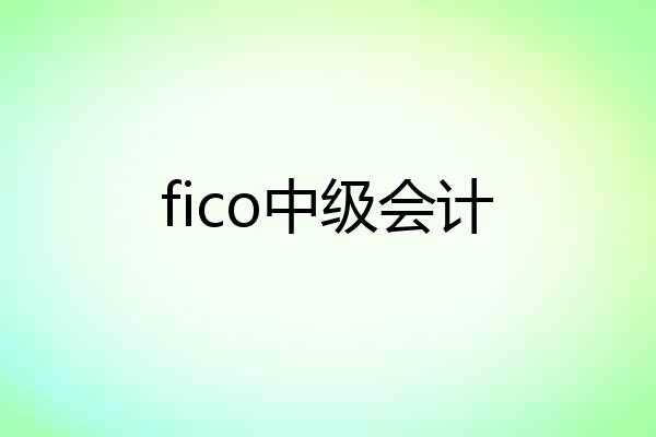 fico中级会计