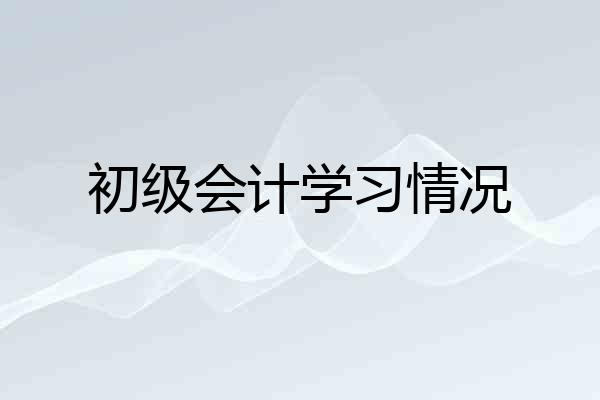 初级会计学习情况