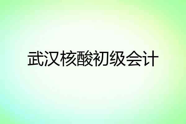 武汉核酸初级会计