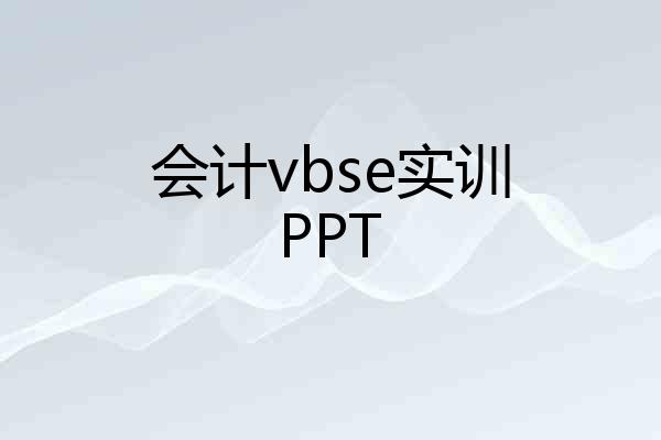 会计vbse实训PPT