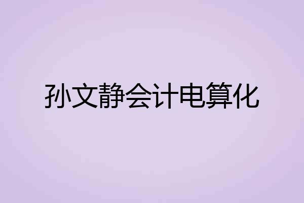 孙文静会计电算化