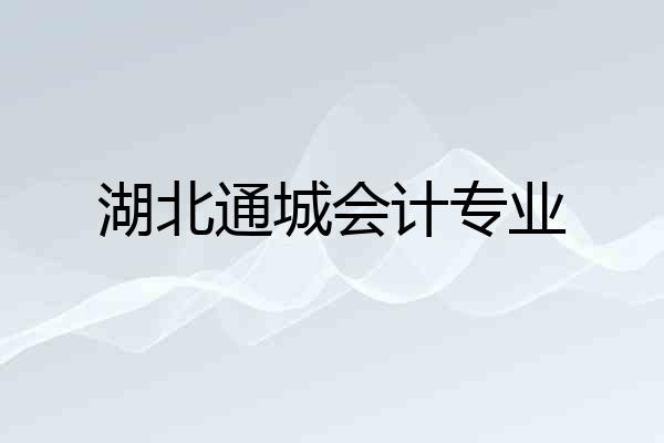 湖北通城会计专业