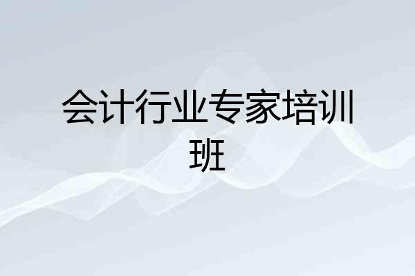 会计行业专家培训班