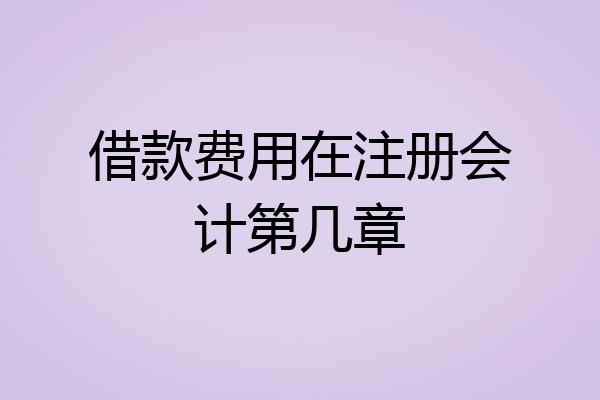 借款费用在注册会计第几章