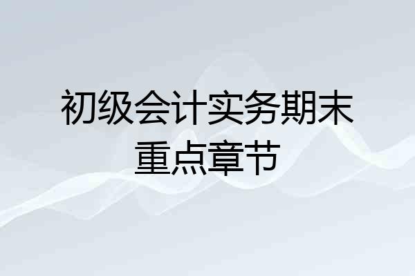初级会计实务期末重点章节