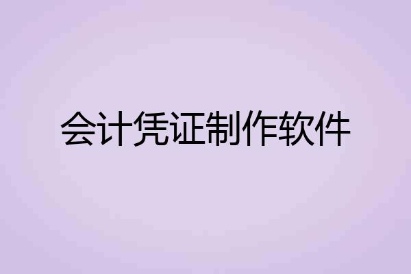 会计凭证制作软件