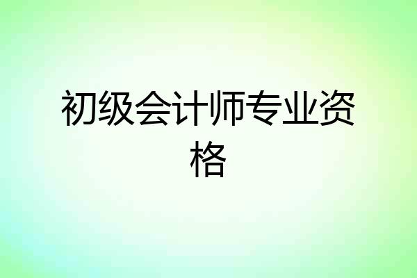 初级会计师专业资格