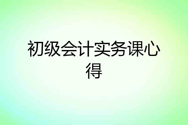 初级会计实务课心得