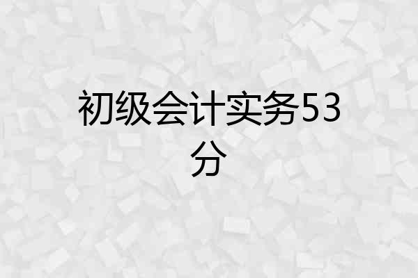 初级会计实务53分