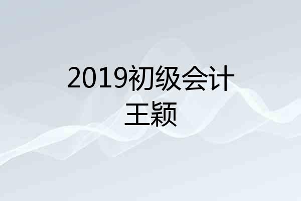 2019初级会计王颖