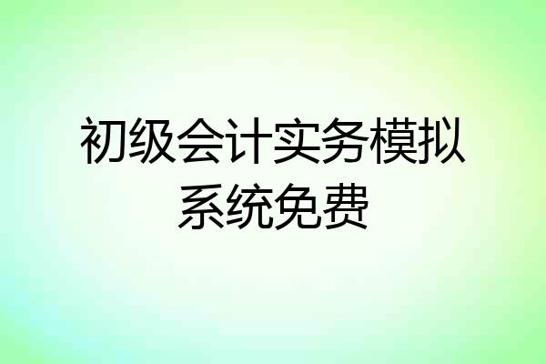 初级会计实务模拟系统免费