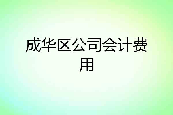 成华区公司会计费用