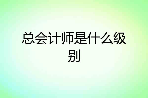总会计师是什么级别
