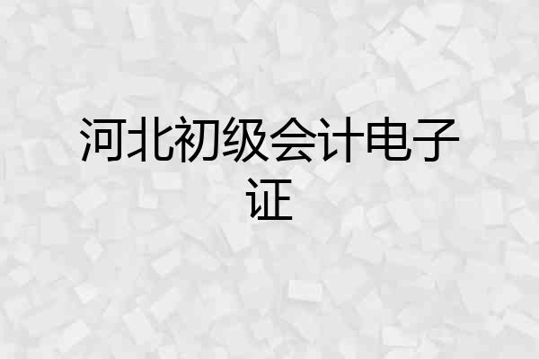 河北初级会计电子证