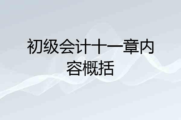 初级会计十一章内容概括