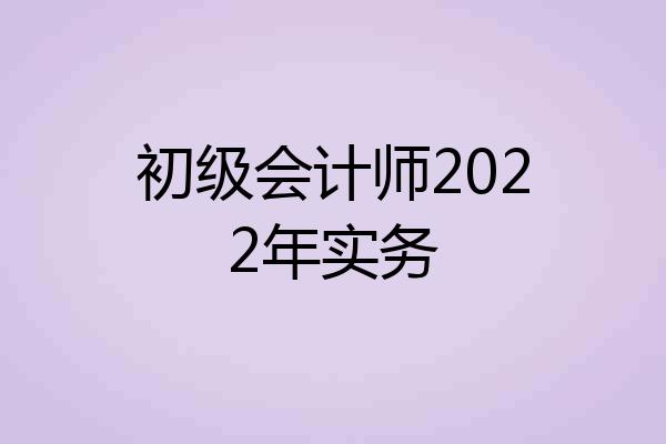 初级会计师2022年实务