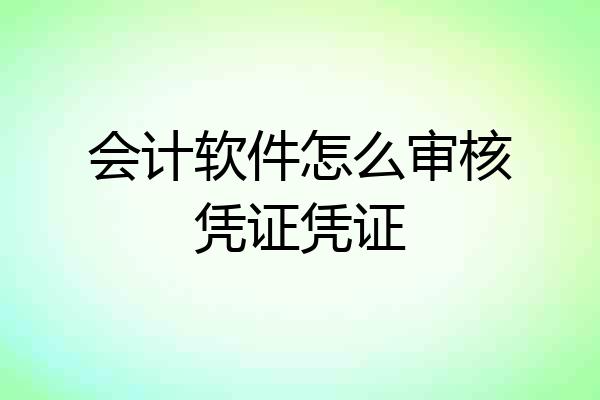 会计软件怎么审核凭证凭证