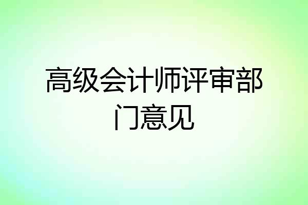 高级会计师评审部门意见
